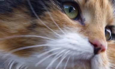 303469802_test_media_1316x792.jpg